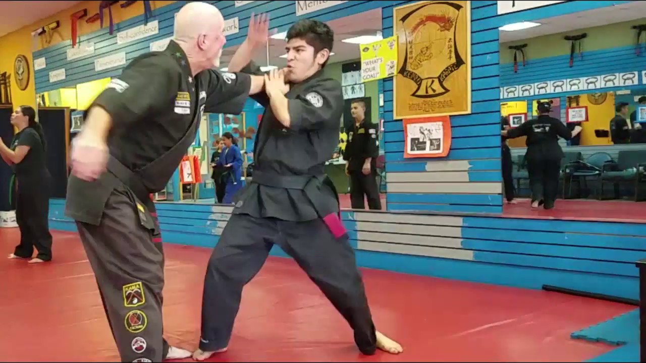 Kenpo Karate 