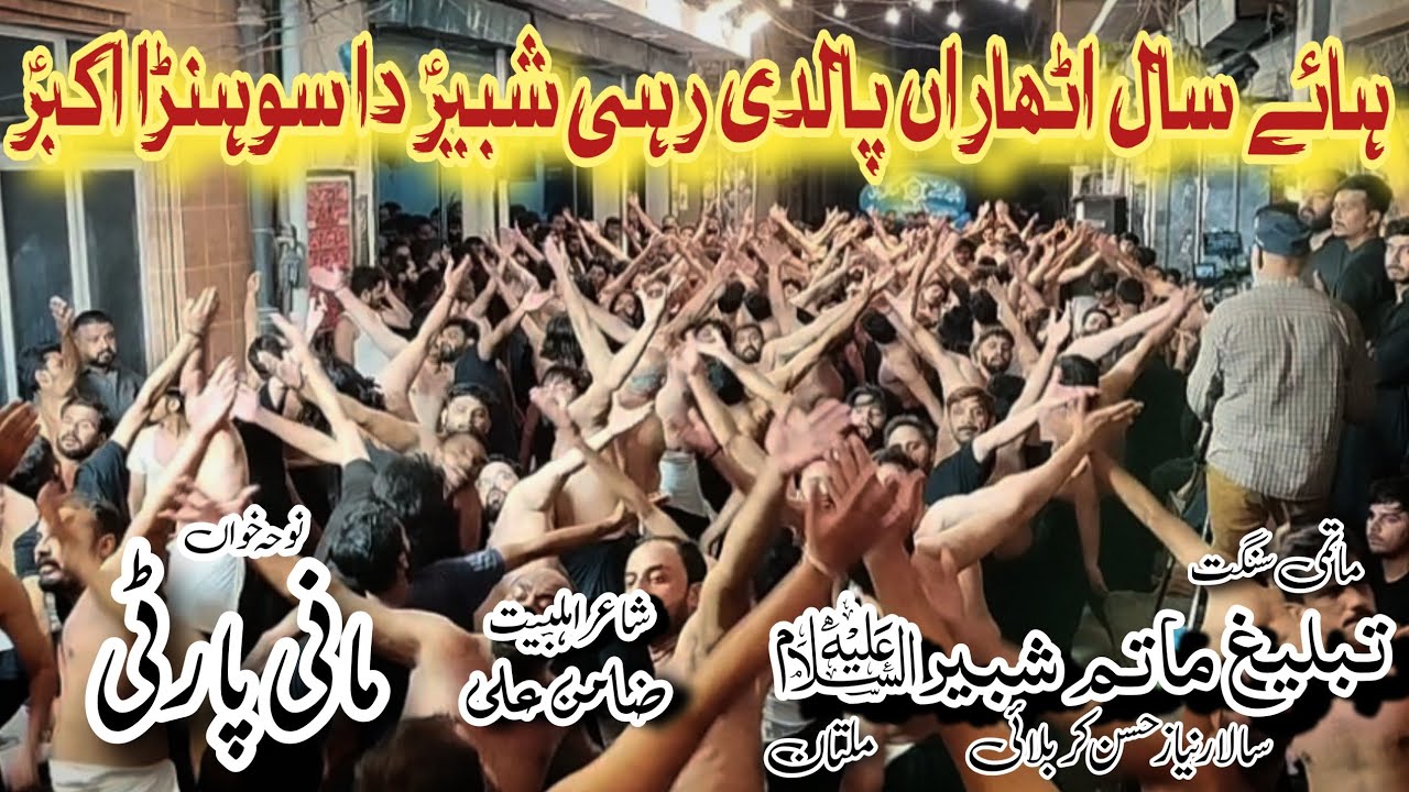 Shabir a.s Da Sohnra Akbar a.s | Mani Party | Anjman Tabhlig Matam e Shabir a.s Multan