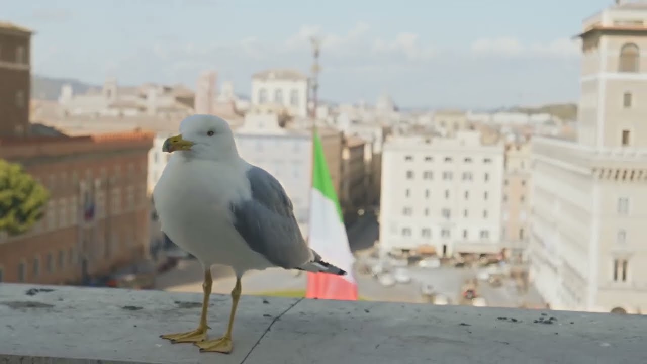 Waltz Ballad (Solo Piano Version) - MaSssuguMusic | Official Music Video