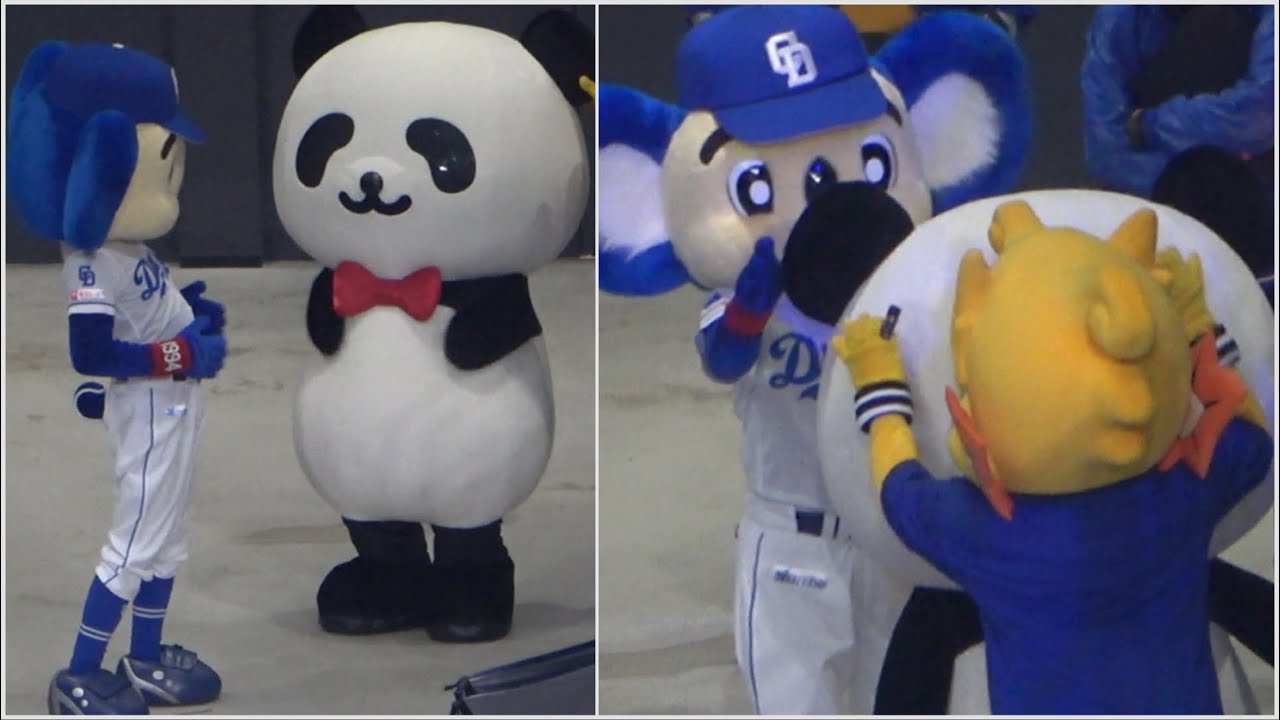 損保ジャパンダとたくさん戯れてたドアラ (2025/12/27)