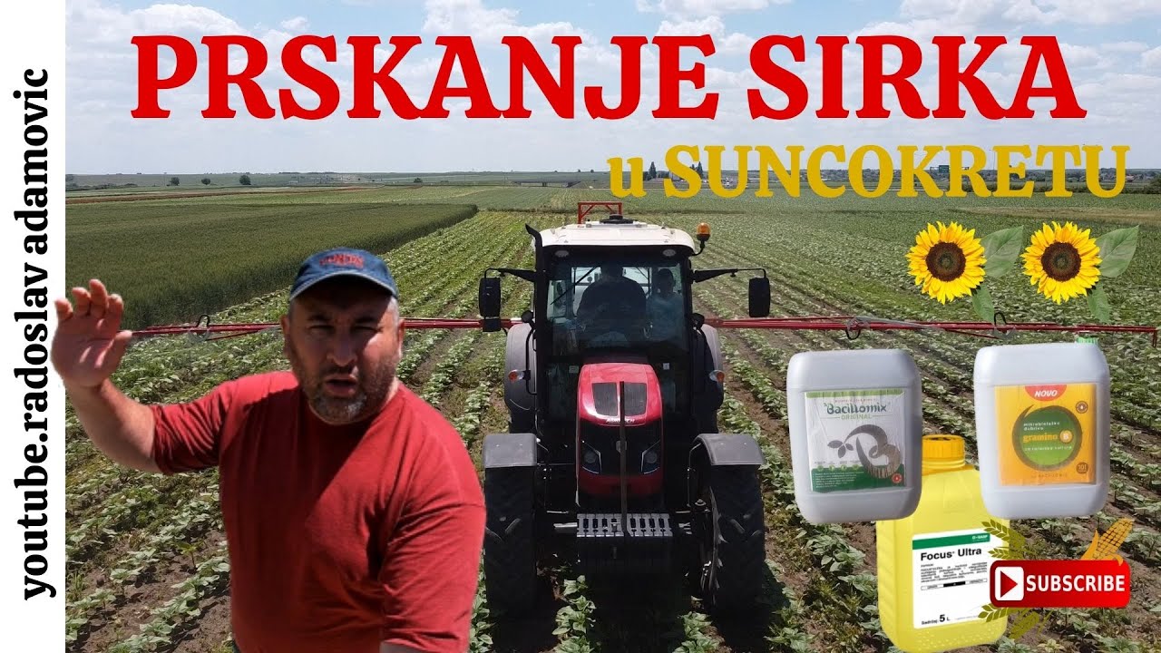 PRSKANJE SIRKA u SUNCOKRETU + Bacillomix & Gramino B ;  SUNFLOWER SPRAYING + Bacillomix & Gramino B