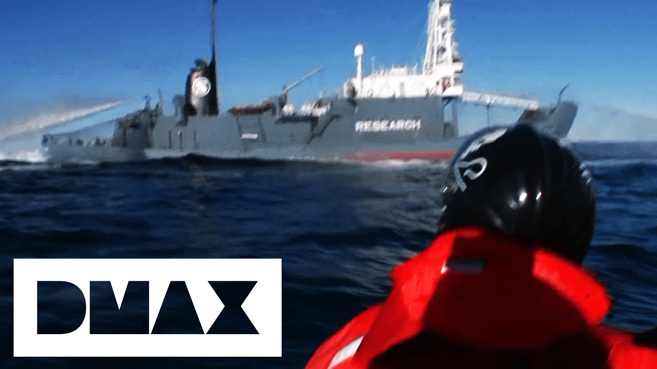 Sea Shepherds Try To Board Japanese Whaling Ship & Arrest Captain | Whale Wars