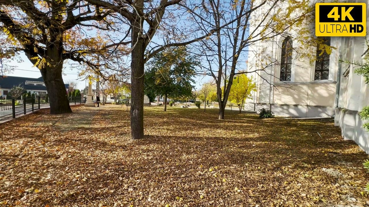 4K Walk in Nagyecsed | 1st November 2025 | Sunny Autumn Day