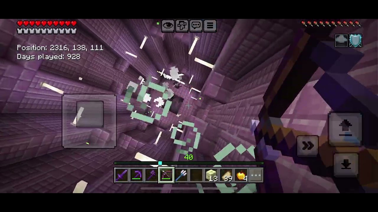 Finding the elytra!! 