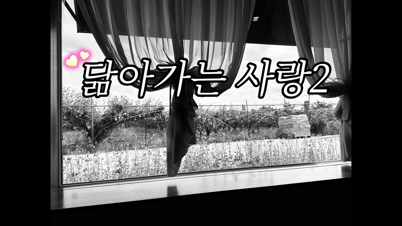 Ai감성발라드모음!AI노래,사랑,이별발라드