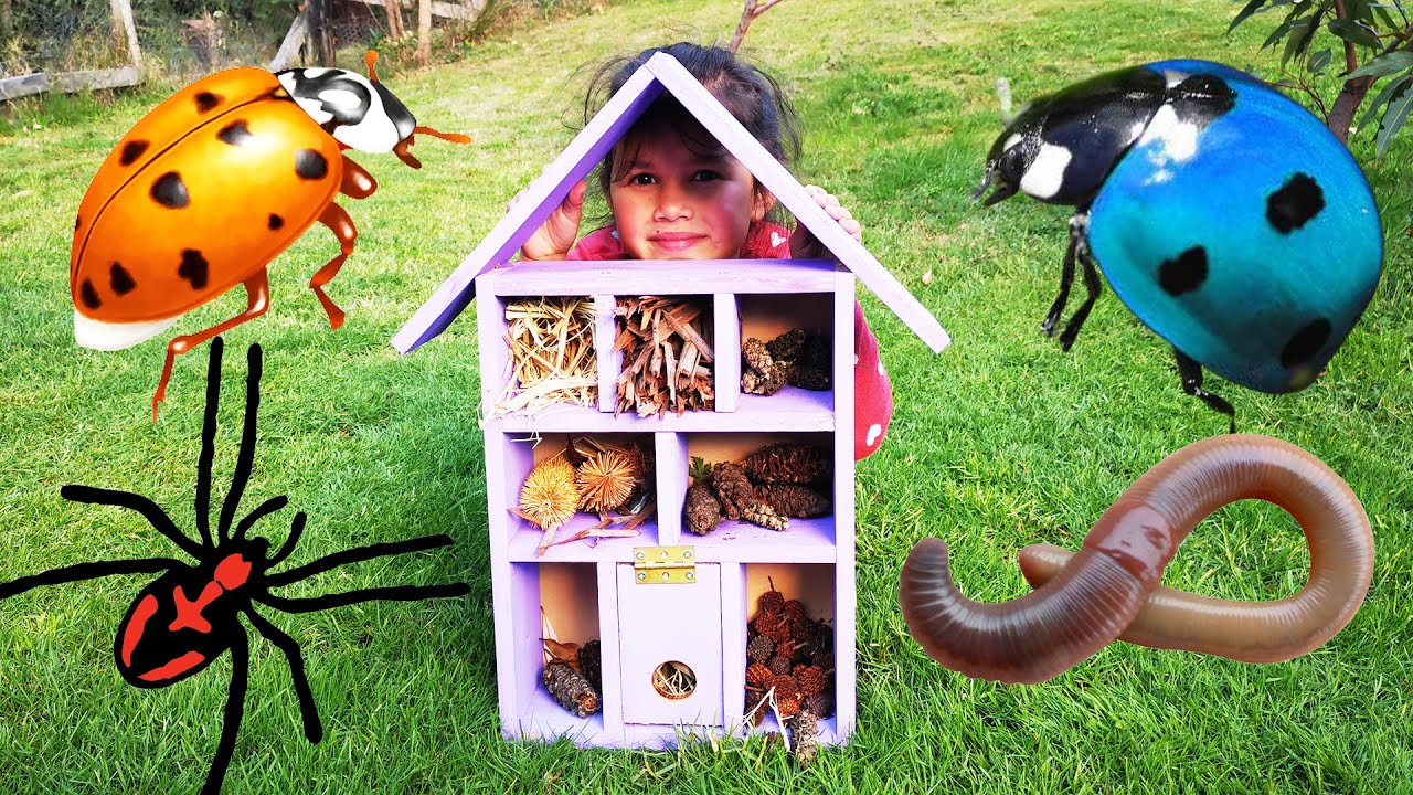 Zoe Builds A Hotel For Bugs Made From Wooden Pallets Wood Craft Ideas For Kids WOW Bonus Bird Box