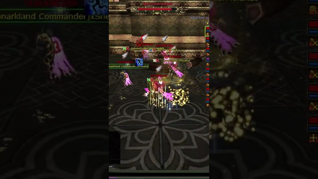 Felis #pk #okcuteam #knightonline #nttgame