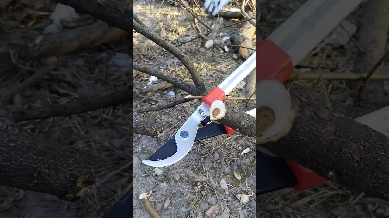 Сучкоріз гілкоріз Wolf Garten RS 650/ Dolmar Makita 68-99 см.