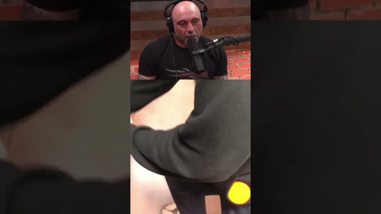Joe Rogan 🤝 Flavor God Seasonings
