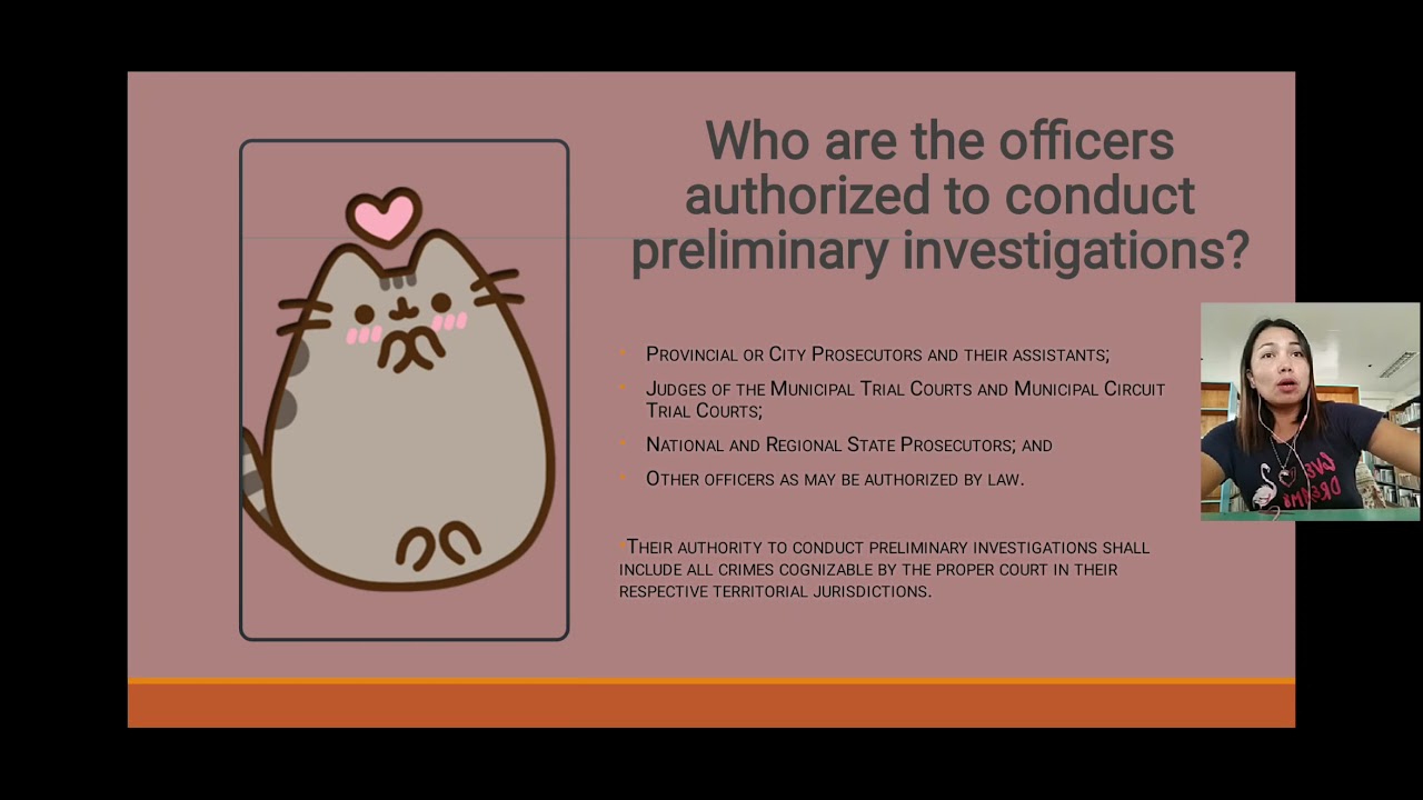 Preliminary investigation