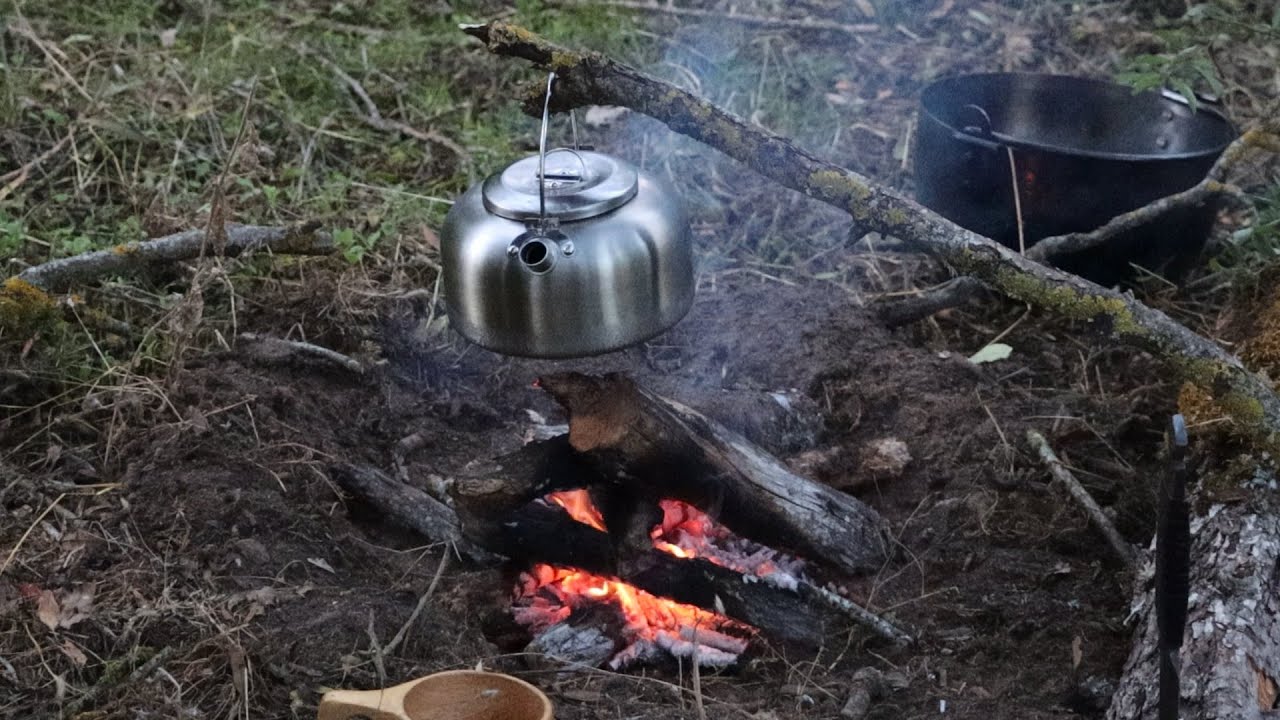 Otoño en un bosque, Meseta castellana, frutos del bosque, bushcraft, conducción 4x4