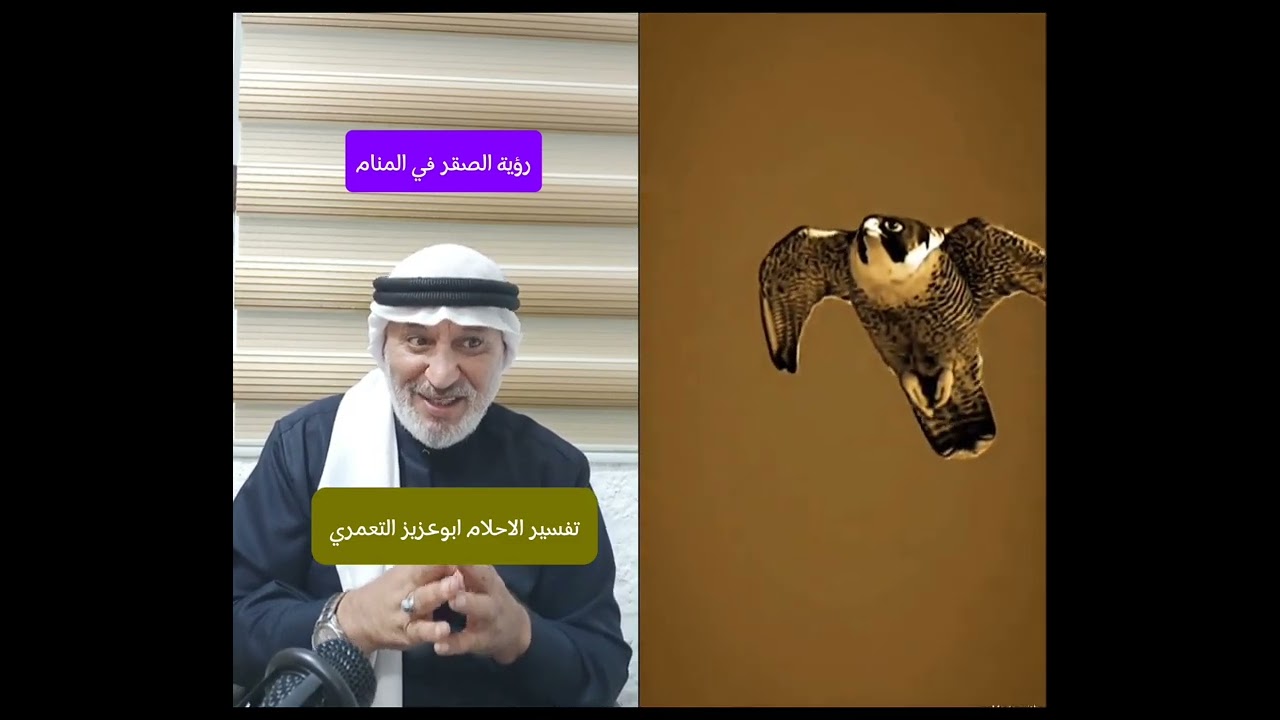 رؤية الصقر في المنام