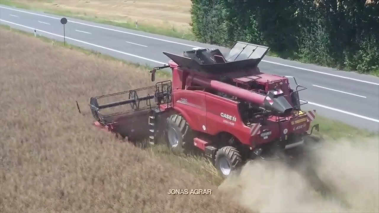 Rapsernte mit Case IH 