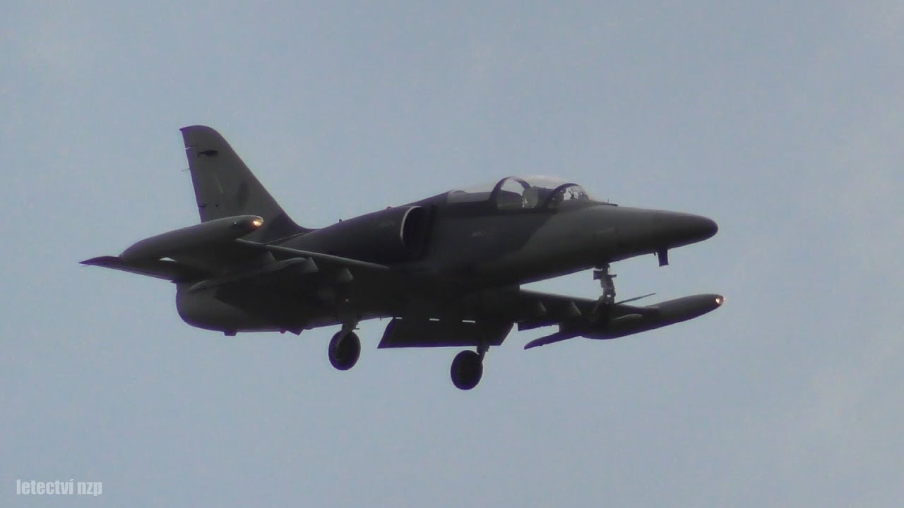 2x Aero L-159 Alca | Airshow Roudnice nad Labem 2019