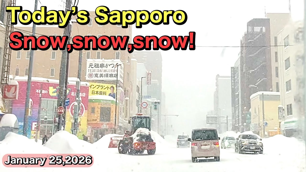 Today’s Sapporo.Snow,snow,snow! January 25,2026 .Japan 