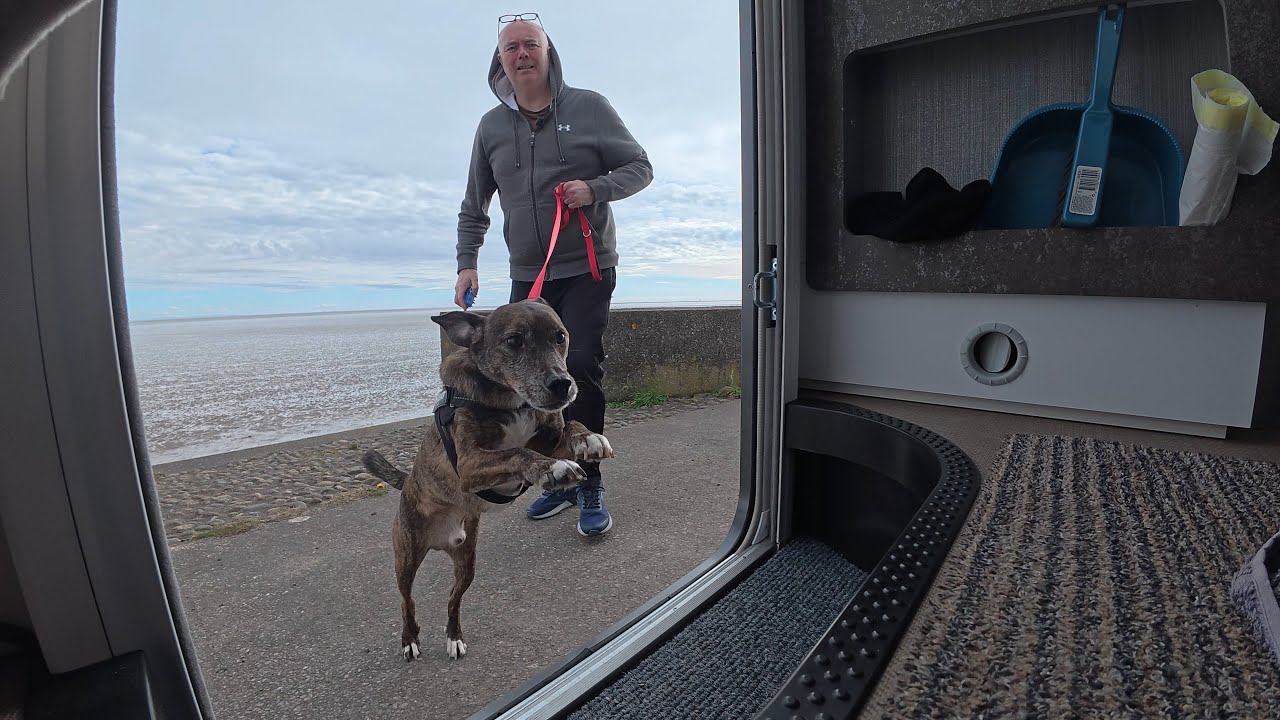 Will your dog like his Motorhome ! Ours love it !!