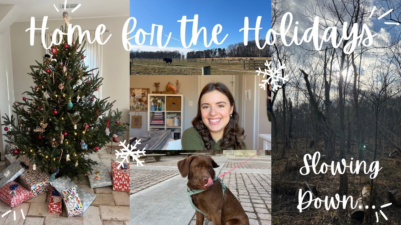 Slowing Down: A Cozy Holiday Diary
