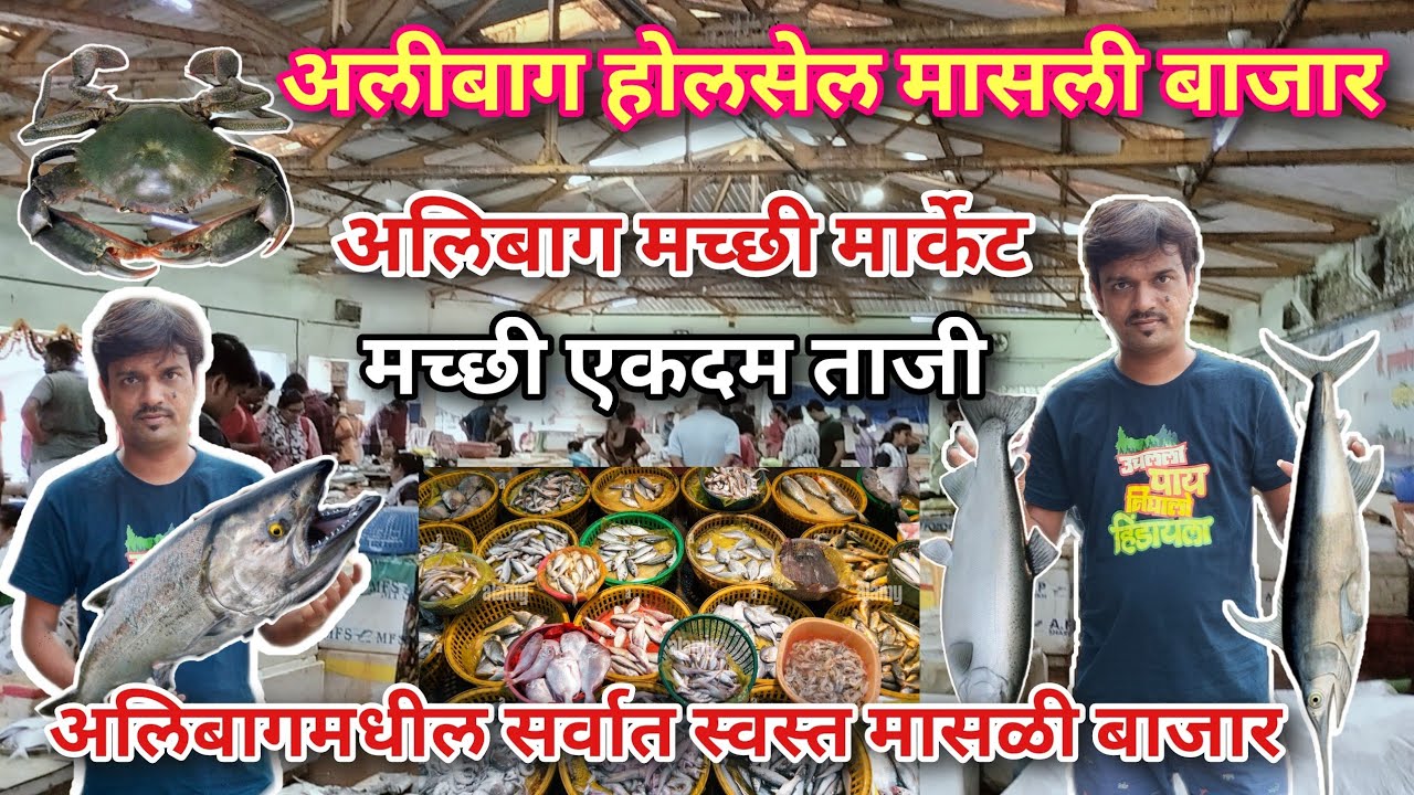 अलिबाग मच्छी मार्केट | Alibag jetty fish market | Alibag Fish Market | अलिबाग