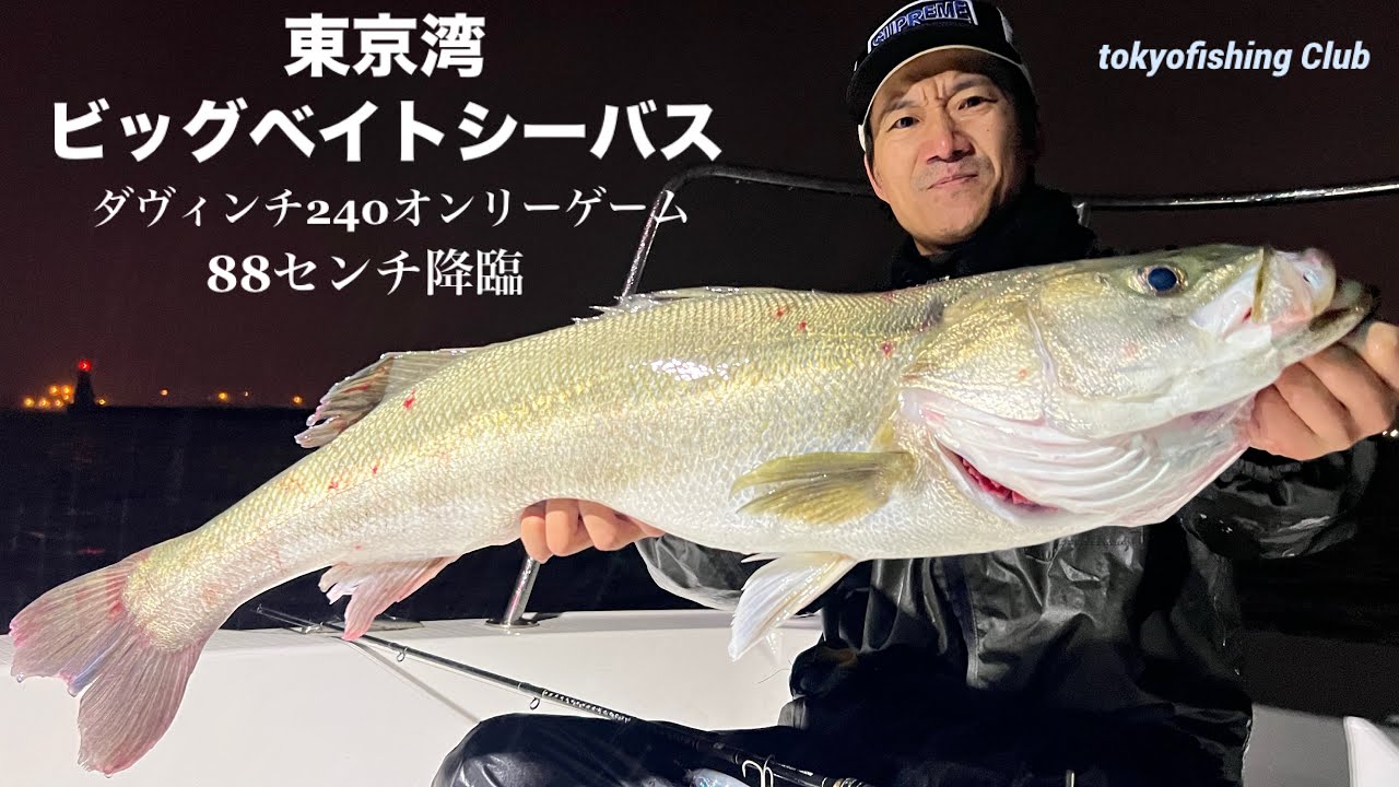 爆釣ビッグベイトシーバス　2025.10.25