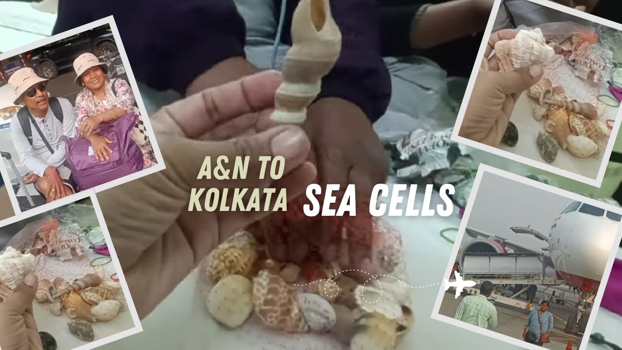 Island se Main land phuch gye✈️🧳sea cells ke sath .. //Deepshikha Gunjiyal #indiancity #island