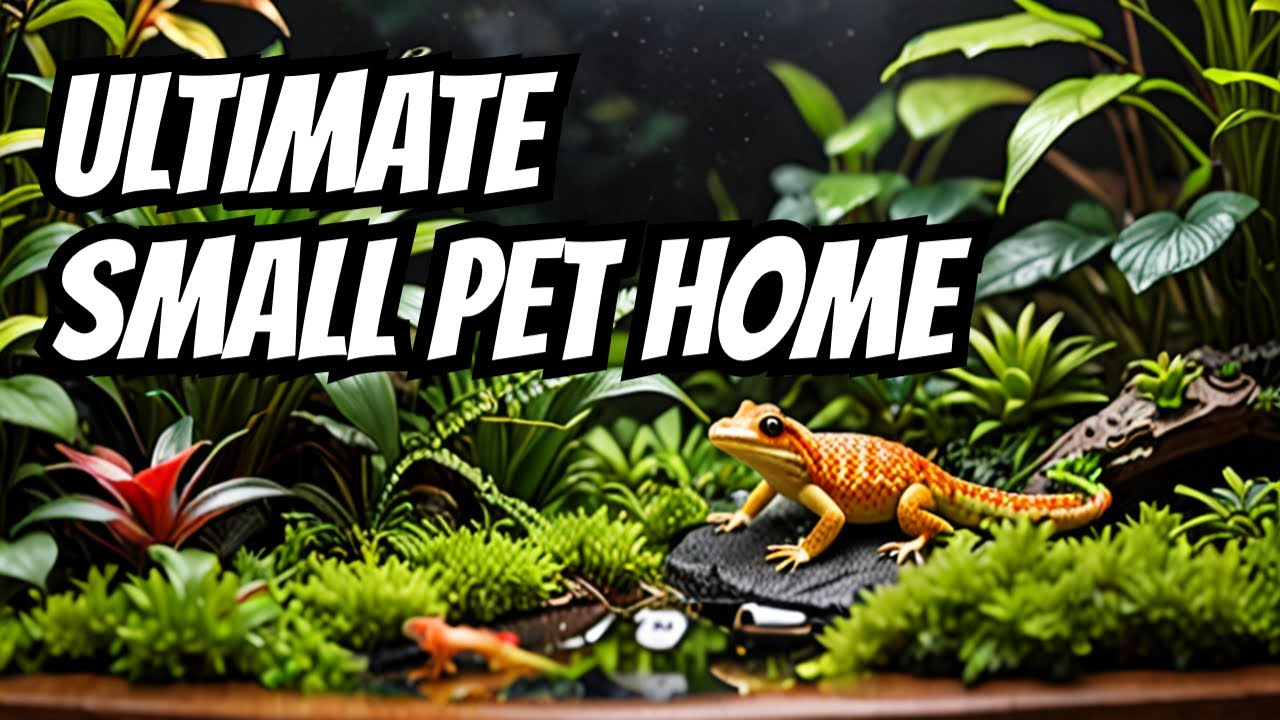 Ultimate Small Pet Habitat? Zilla Micro Habitat Terrarium Review for Reptiles & Amphibians!