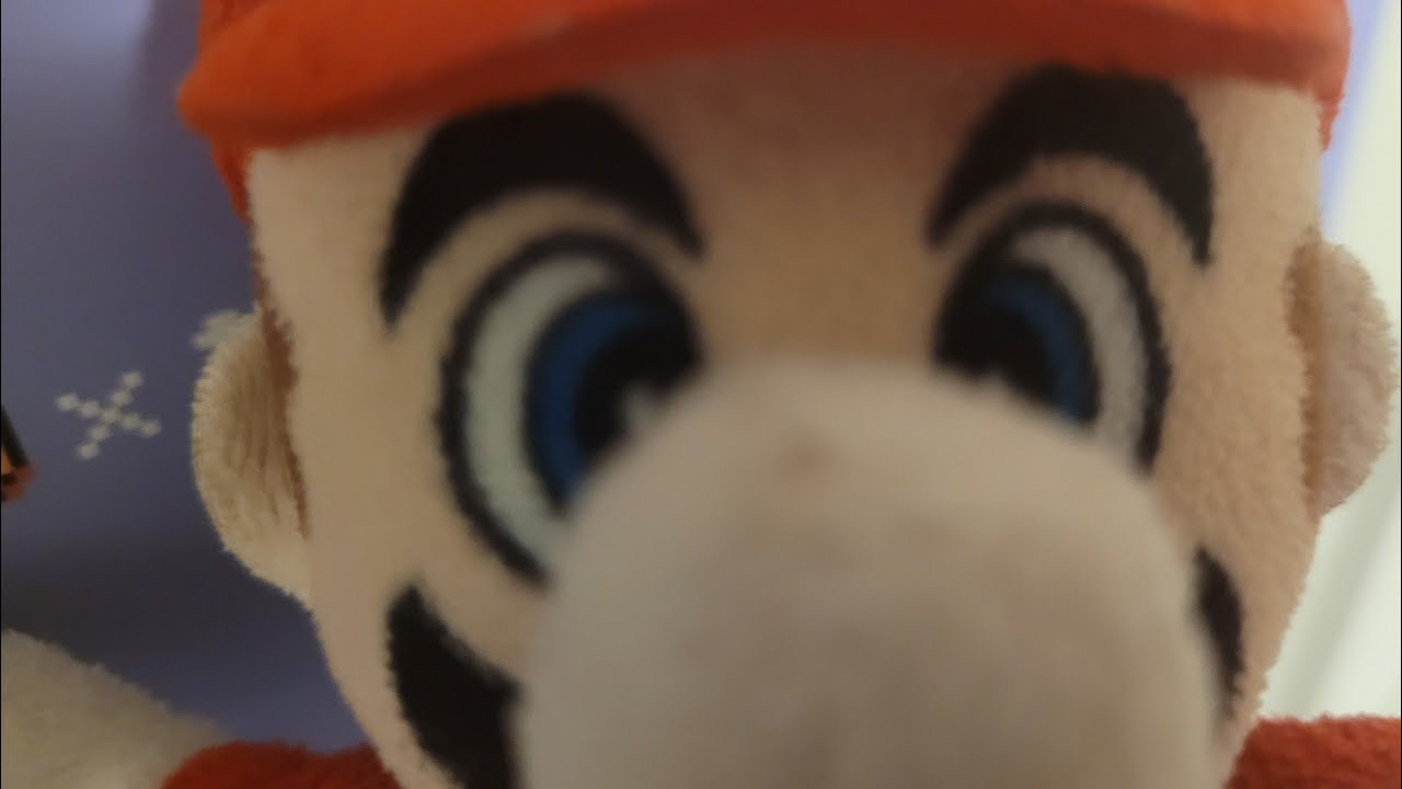 Super mario 64 plush 3