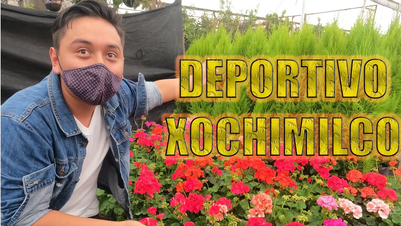 Mercado de Flores DEPORTIVO XOCHIMILCO (PALACIO DE LA FLOR) Mejores PRECIOS!! 🌻🌵