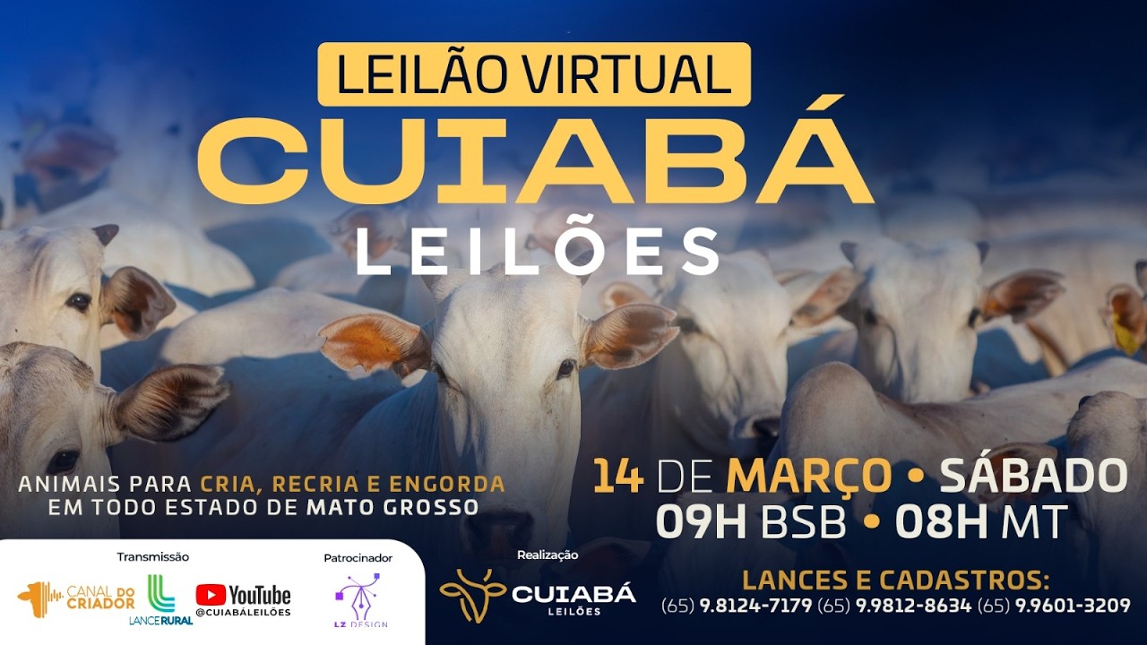 123° LEILÃO VIRTUAL CUIABÁ LEILÕES 14-03-2026.