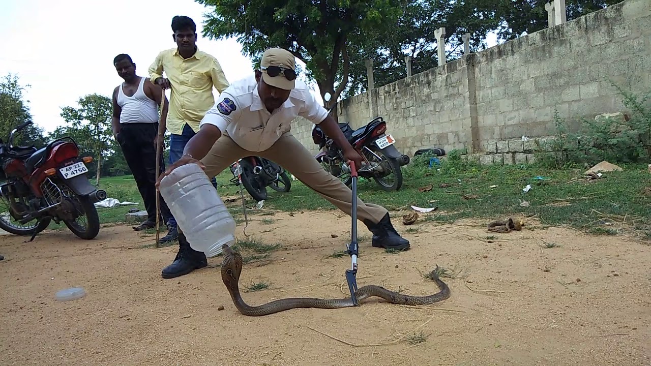 Sagar snake society Telangana