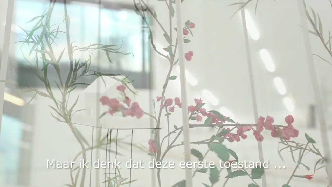 Interview Junya Ishigami