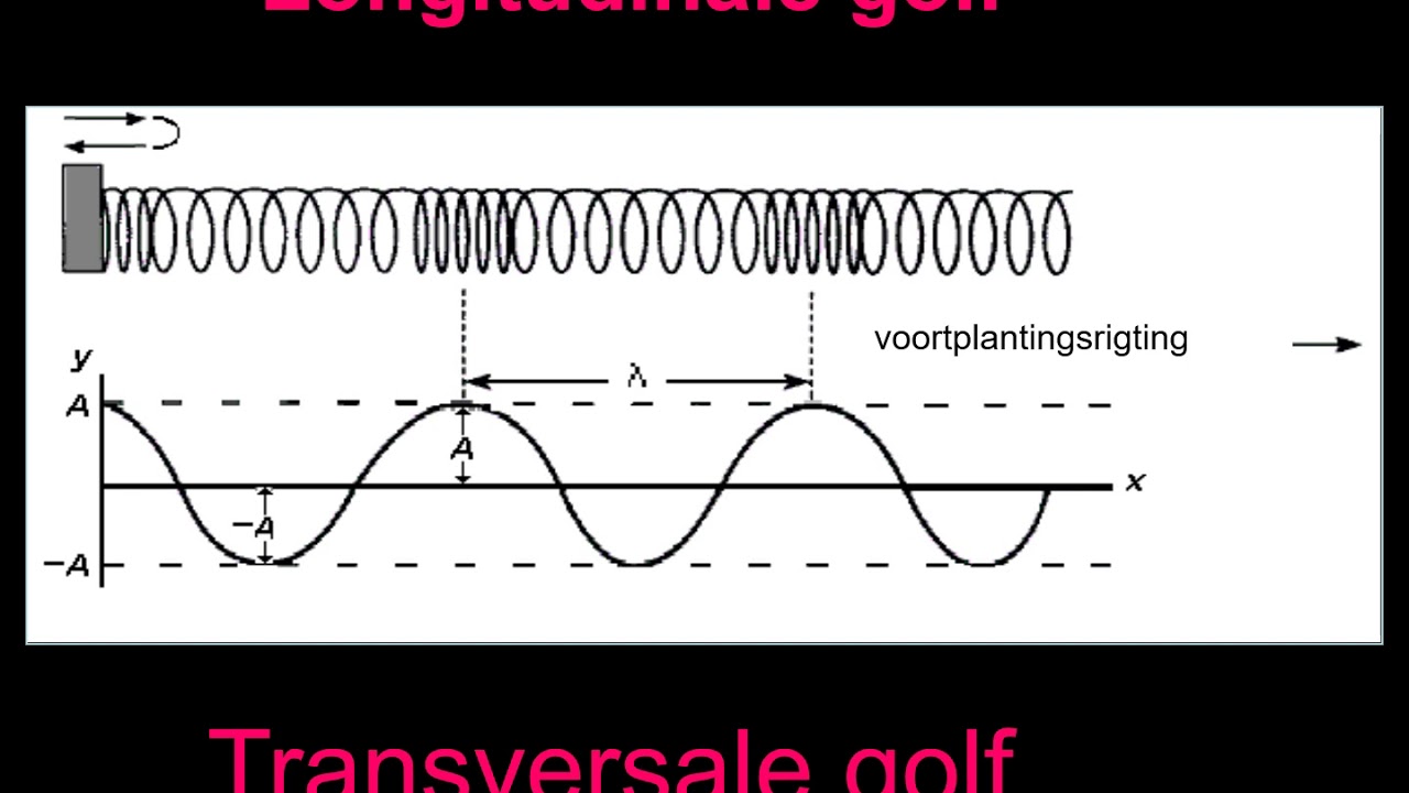 Longitudinale golwe Graad 10 Fisika