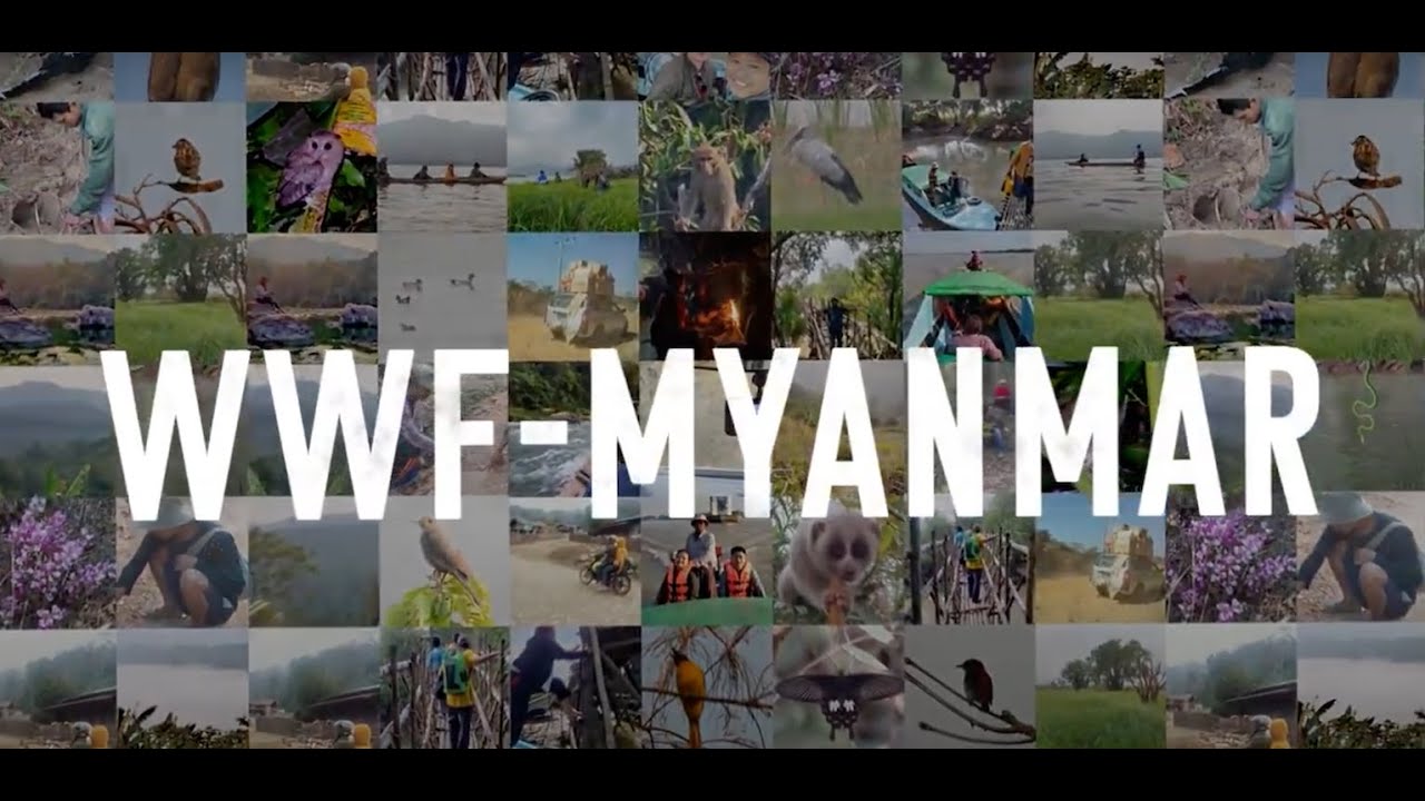 WE ARE WWF-MYANMAR