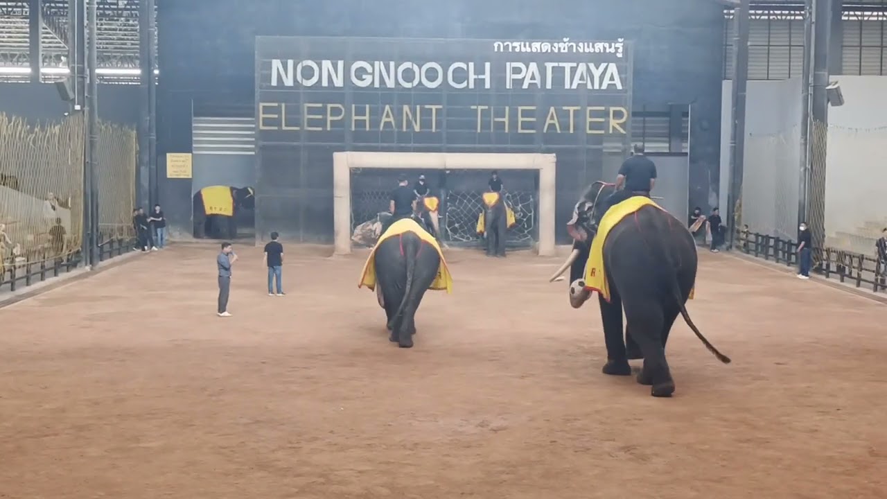 23. februára 2026
