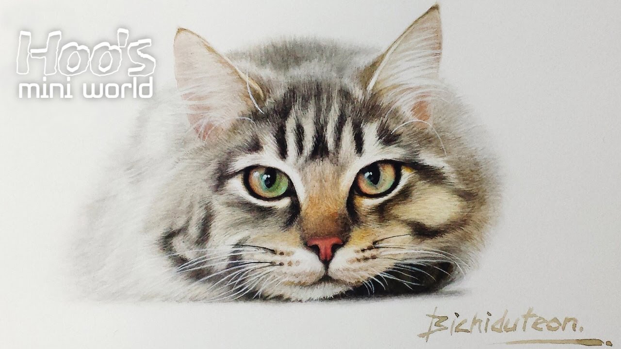 Watercolor painting on the postcard -cat- 엽서에 수채화(고양이)