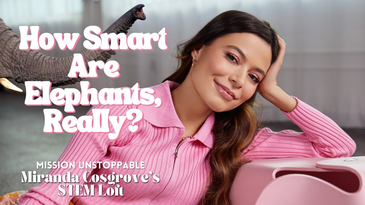 Elephants Are Smarter Than You Think! | Miranda Cosgrove's STEM Loft