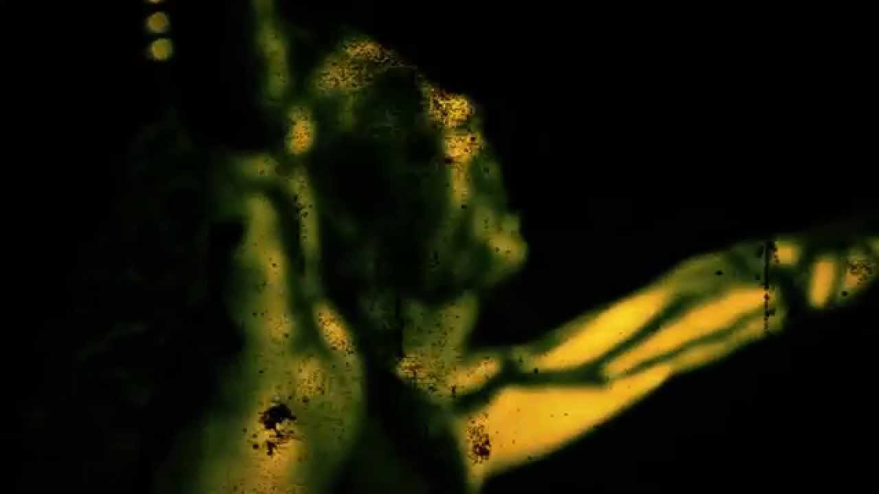 Iron panzer Dusth Video Clip de Hirden