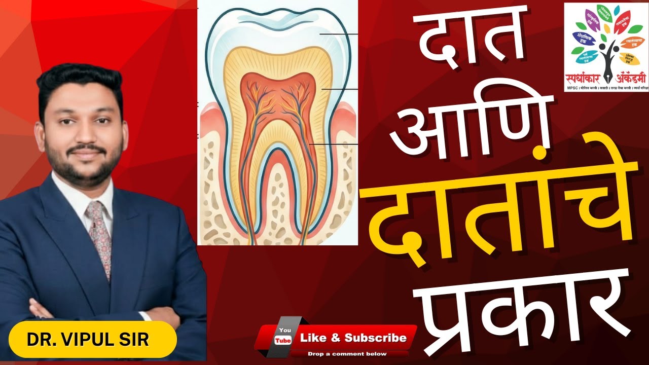 दात आणि दातांची रचना –डॉ .विपुल सर | MPSC, पोलीस भरती, तलाठी, TET आणि इतर सर्व स्पर्धा परीक्षांसाठी.
