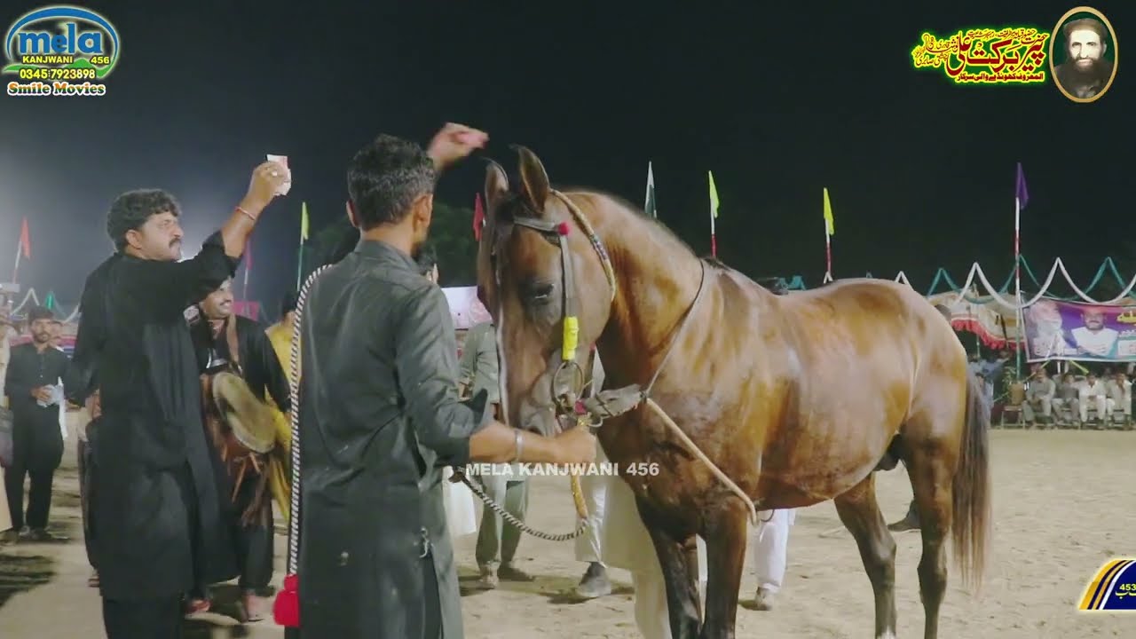 Final Horse Dance Mela kanjwani 2025 part 22