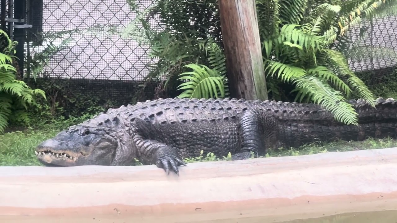 Flamingo Gardens in Davie Florida