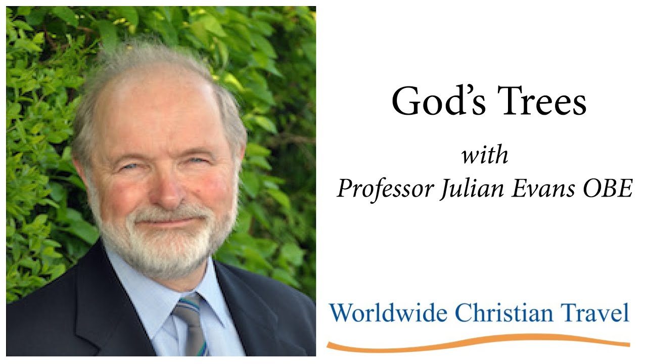 God's Trees with Professor Julian Evans OBE