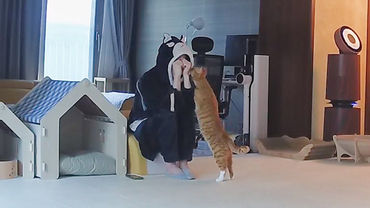 COVID Почти Убил Меня...