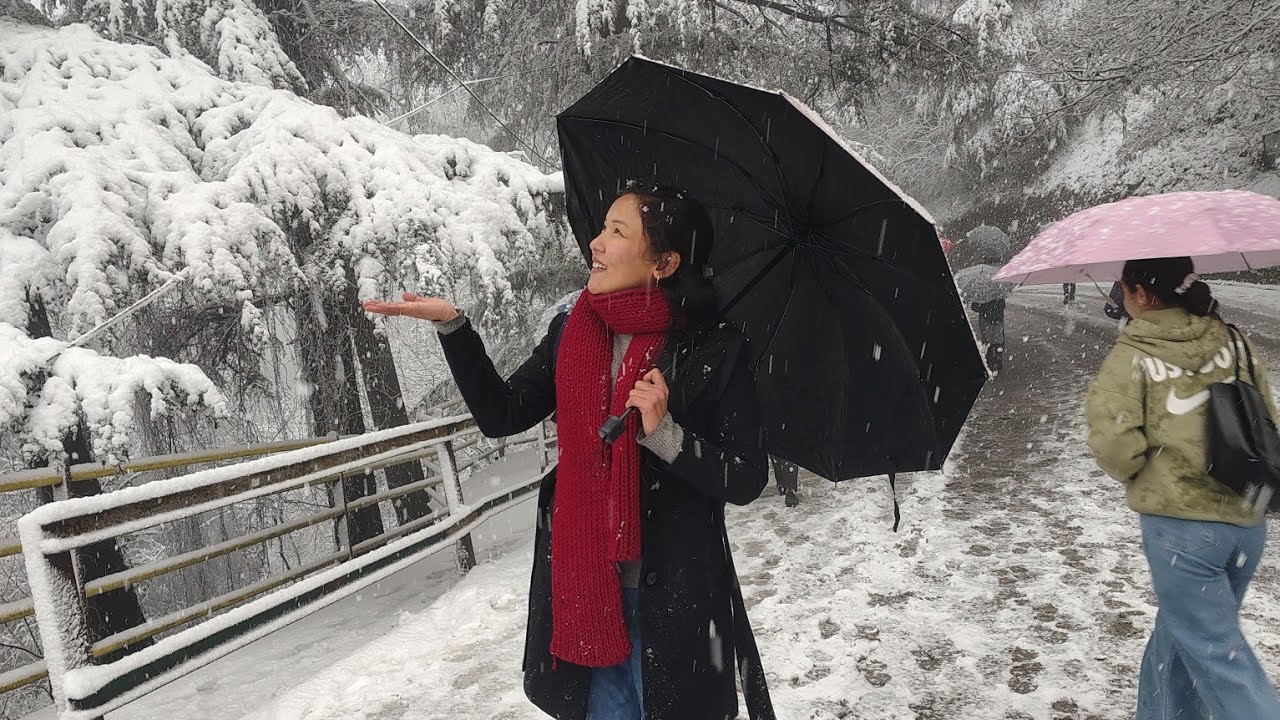 #snowfall#shimla#officeinsnow#magicalcity#views 