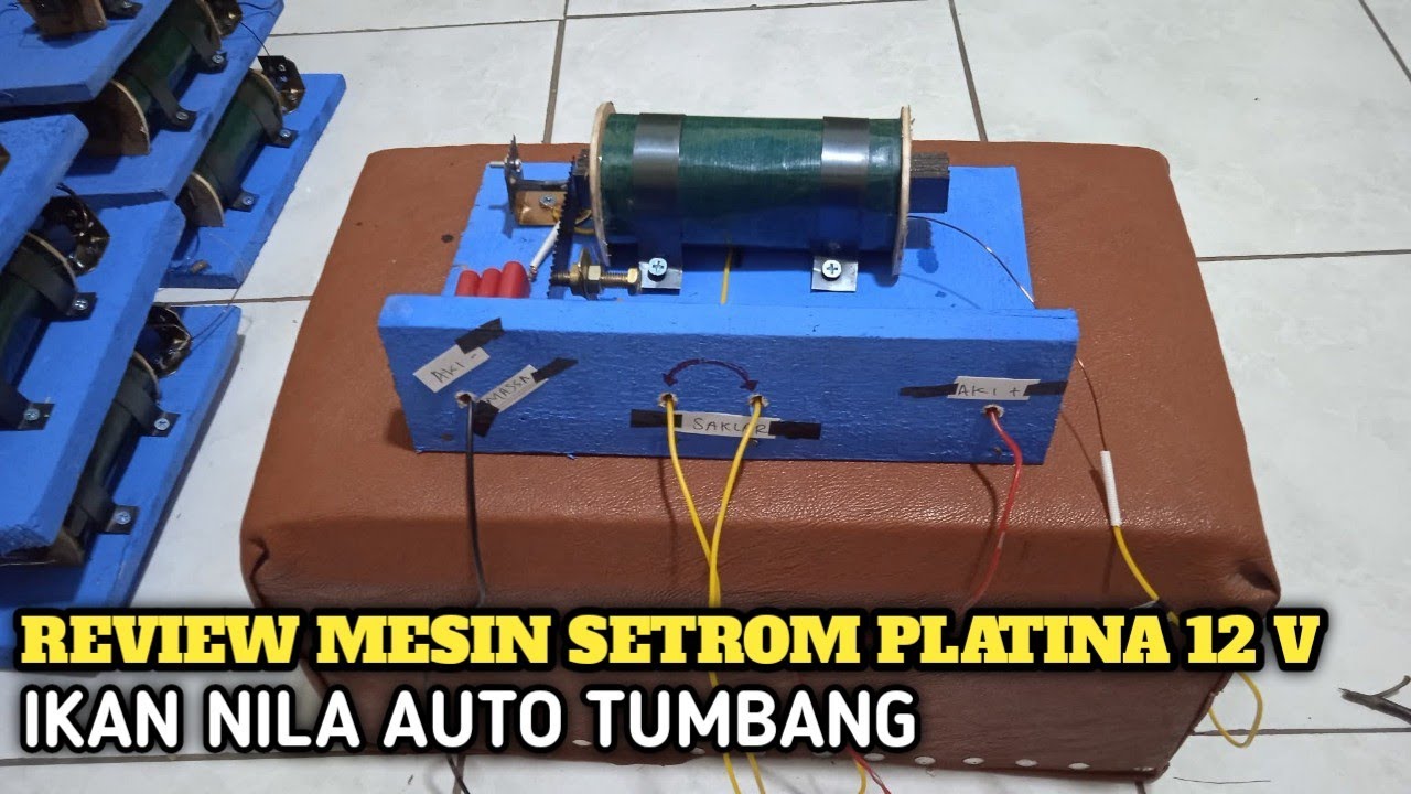 REVIEW SETRUM IKAN PLATINA SPEK NILA - IKAN AUTO KLEPEK KLEPEK