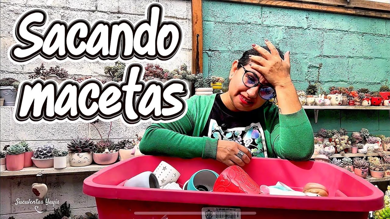 Depuración de macetas 
