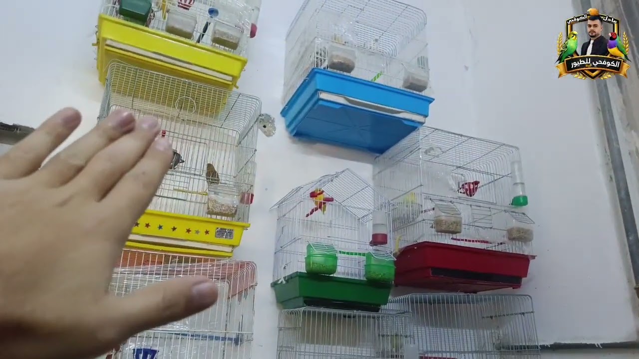 28#/خبريه جميله ربي يبارك🐦🌹🫣