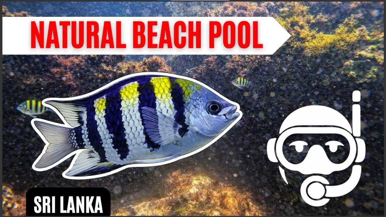 Exploring a Natural Beach Pool in Sri Lanka | Tropical Beach Paradise