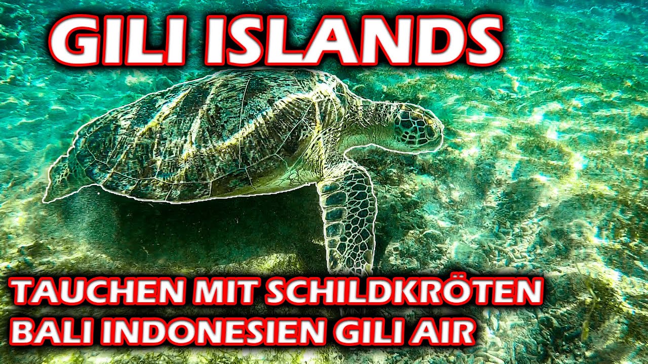 GILI ISLANDS SCHNORCHELN mit SCHILDKRÖTEN I Tipps Kosten I Indonesien Bali reise I Weltreise VLOG 8