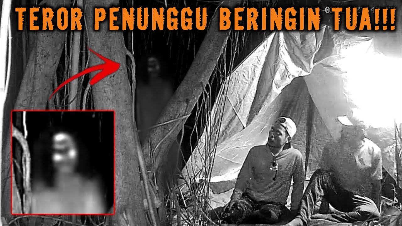CAMPING HOROR HARI APES TIDAK ADA DI KALENDER DI TEROR HANTU PENUNGGU BERINGIN TUA TANPA TENDA!!