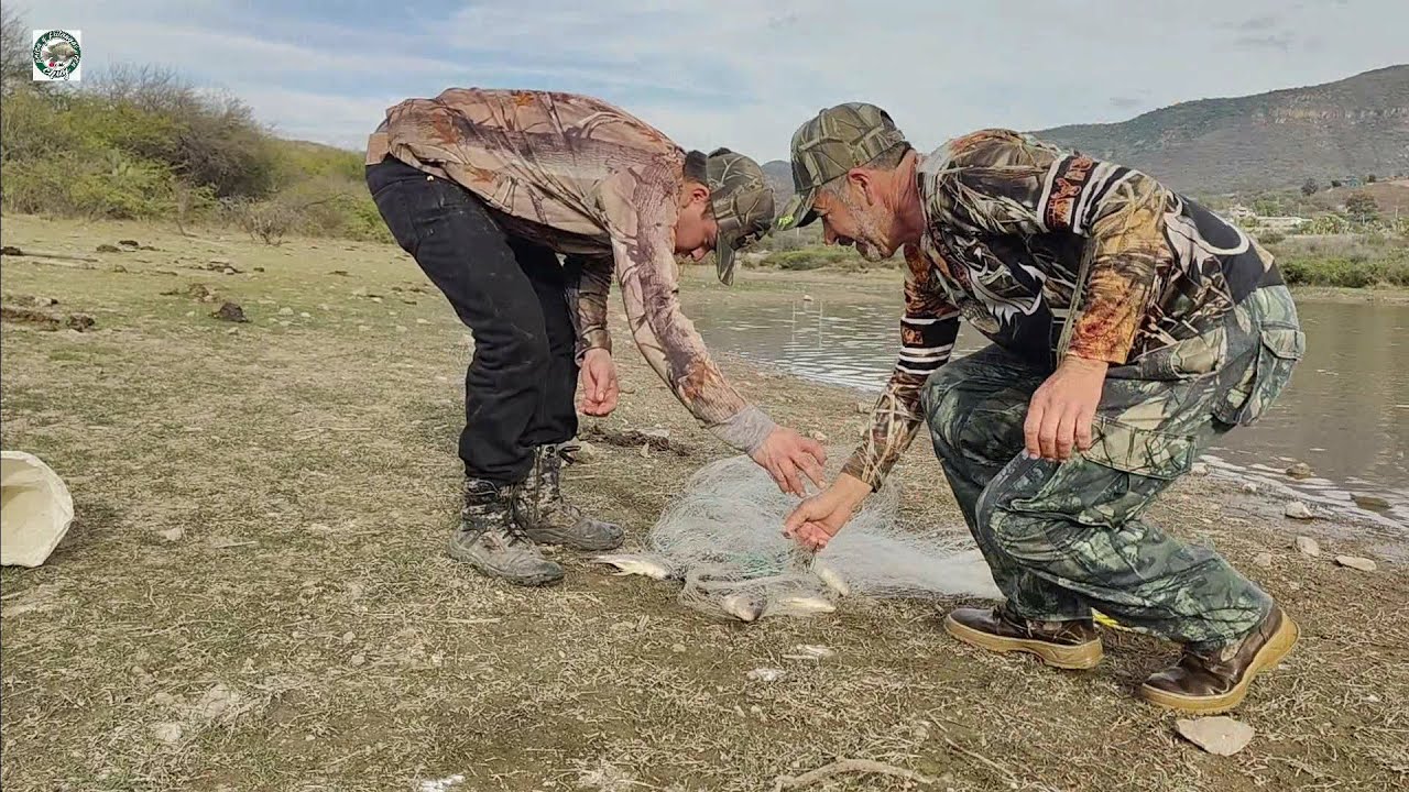 Mira cuanta tilapia y cuantos pescadores nos encontramos con sus familias en esta laguna