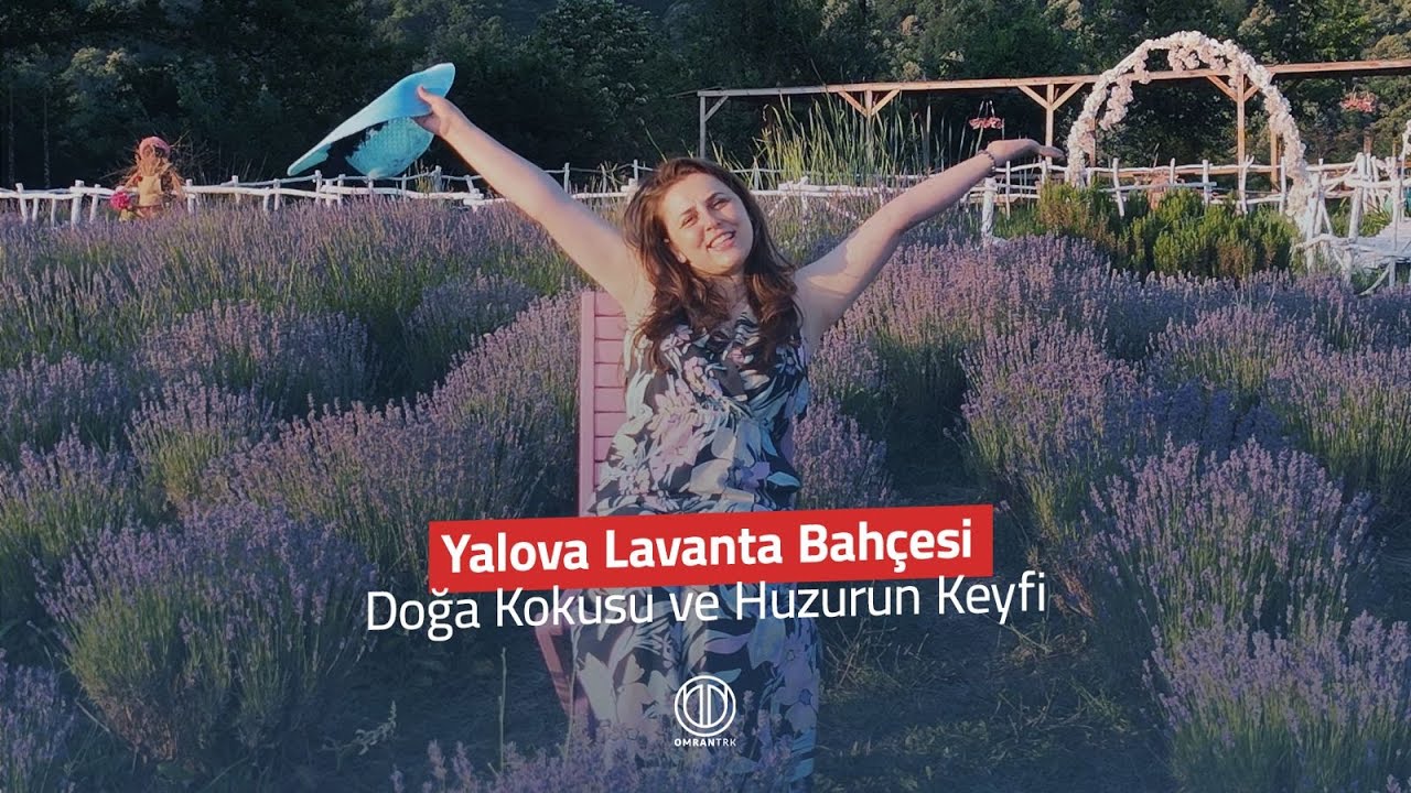 Yalova Lavanta Bahçesi: Doğa Kokusu ve Huzurun Keyfi